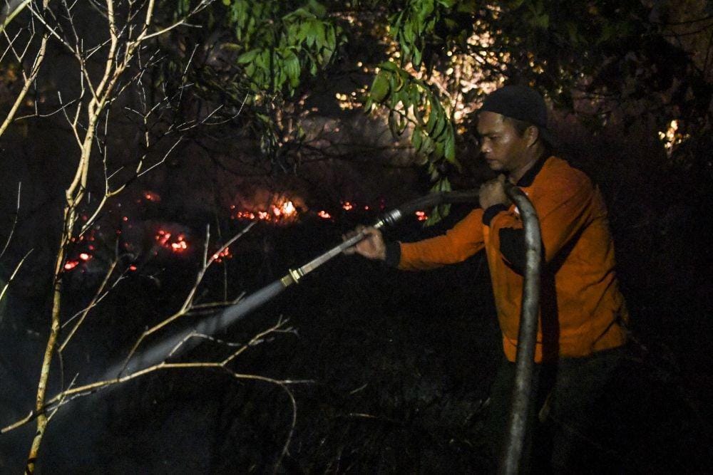 ANTARA FOTO/Hafidz Mubarak A