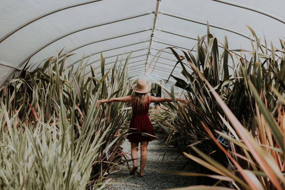unsplash.com/pricilladupreez