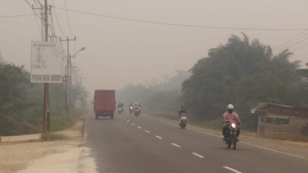 Dok.IDN Times/istimewa