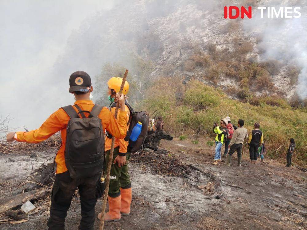IDN Times/Fariz Fardianto