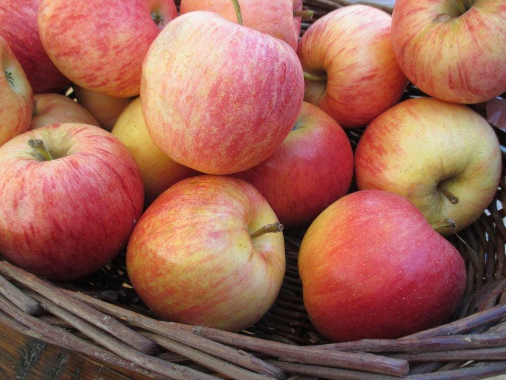 newyork.cbslocal.com