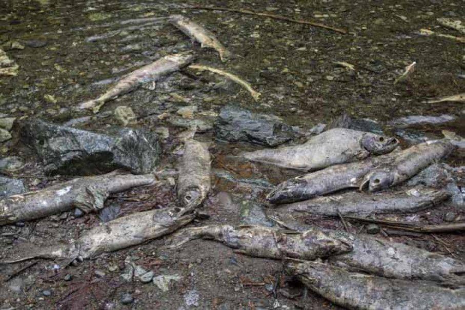 health.howstuffworks.com