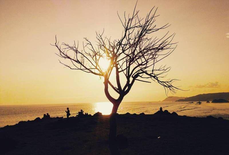 instagram.com/amrisar