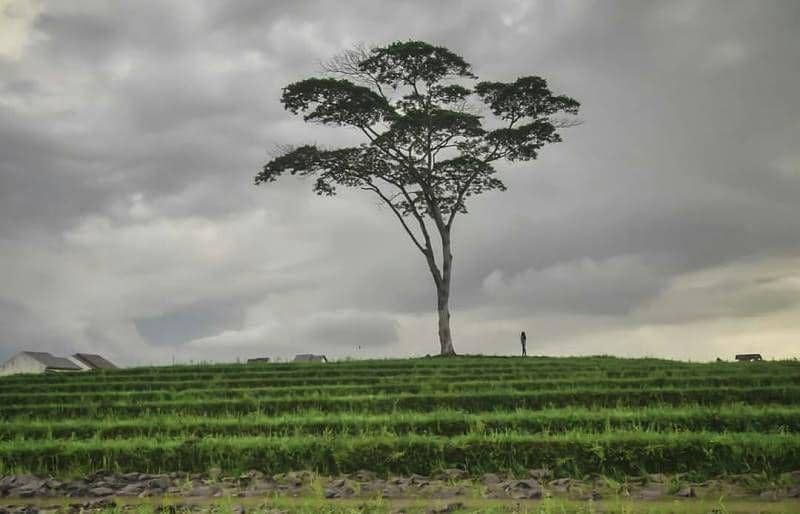 instagram.com/destinasilampuung