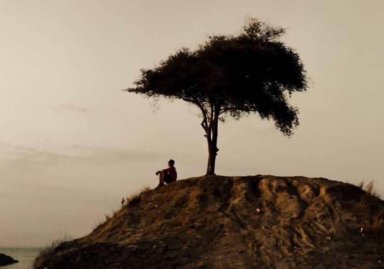 instagram.com/regitofani