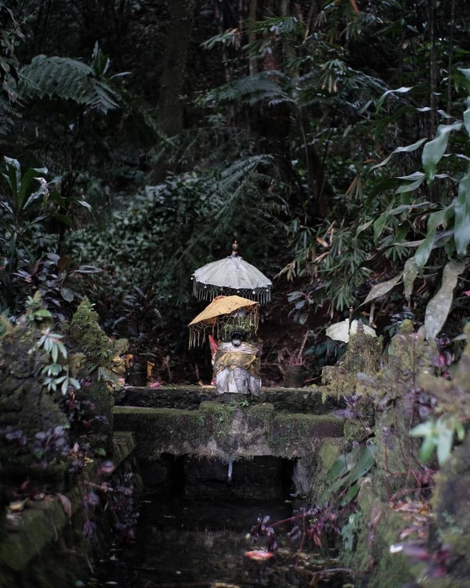 instagram.com/dicoahdian