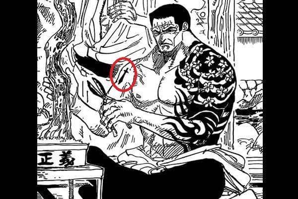 onepiece.fandom.com