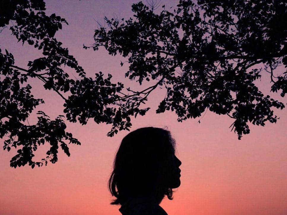 Unsplash.com/Luka Cbrt