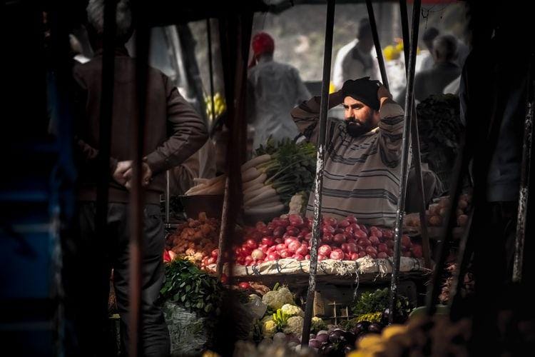 unsplash/Vijay Sadasivuni