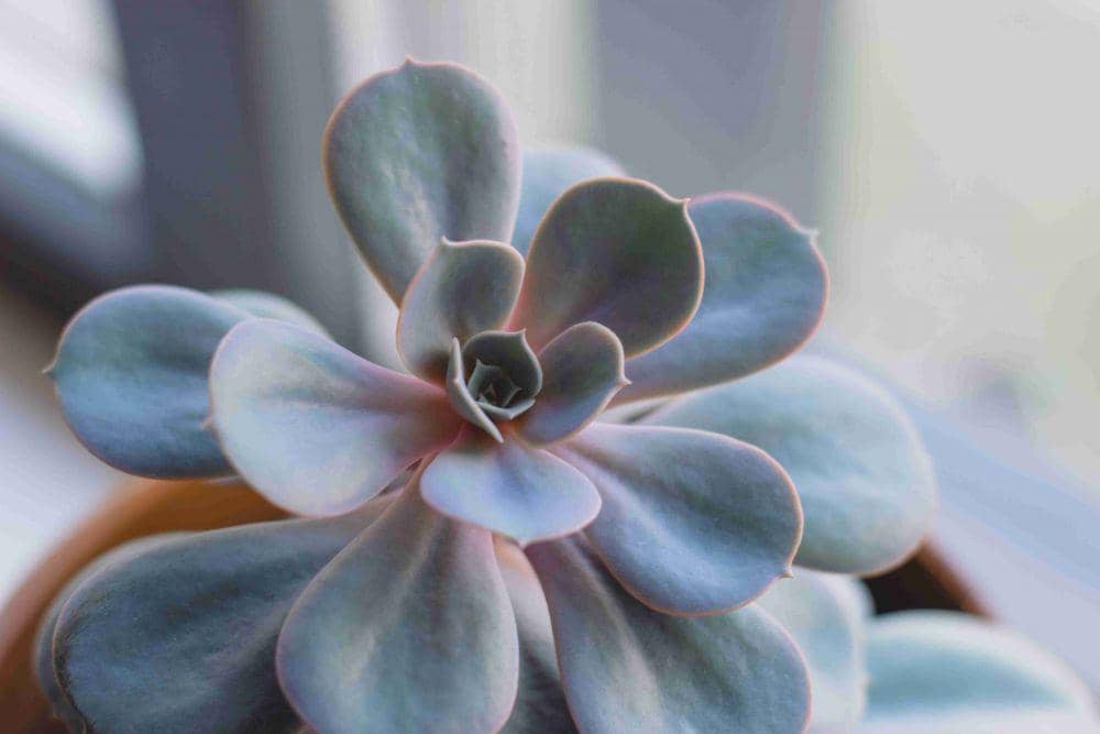 Unsplash.com/Alex Holyoake