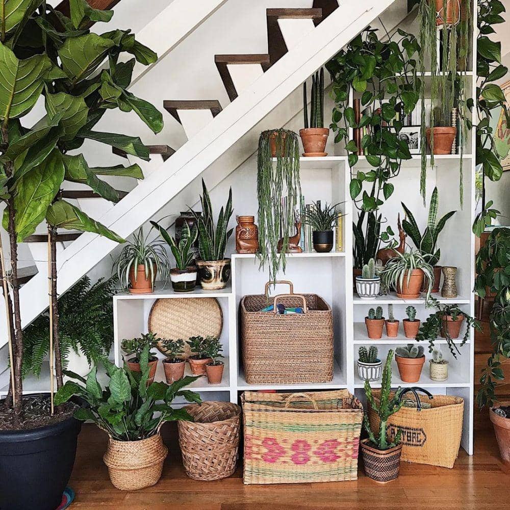 instagram.com/tribeandus