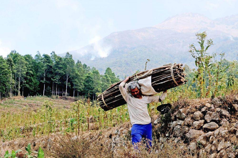 ANTARA FOTO/Anis Efizudin