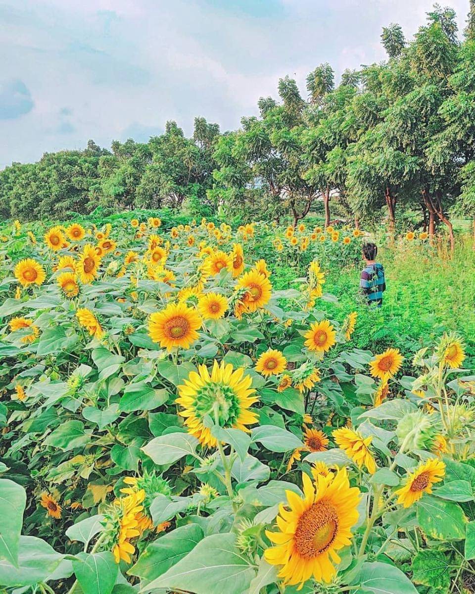 instagram.com/ijoeel