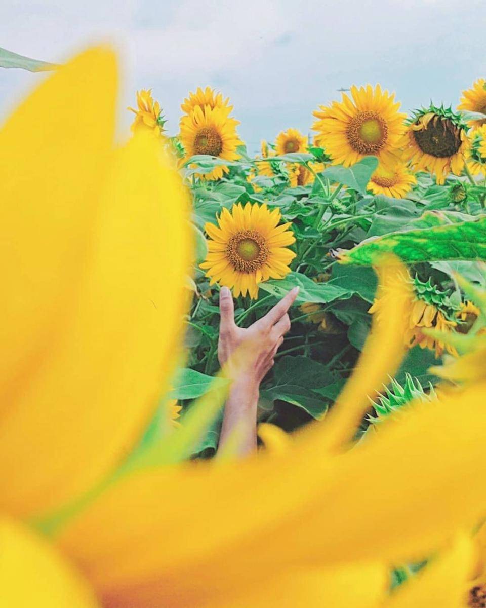 instagram.com/ijoeel