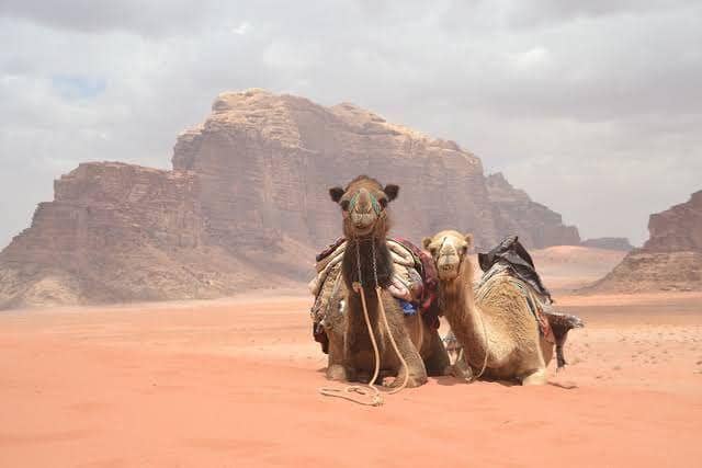 wadirumjeeptours.com