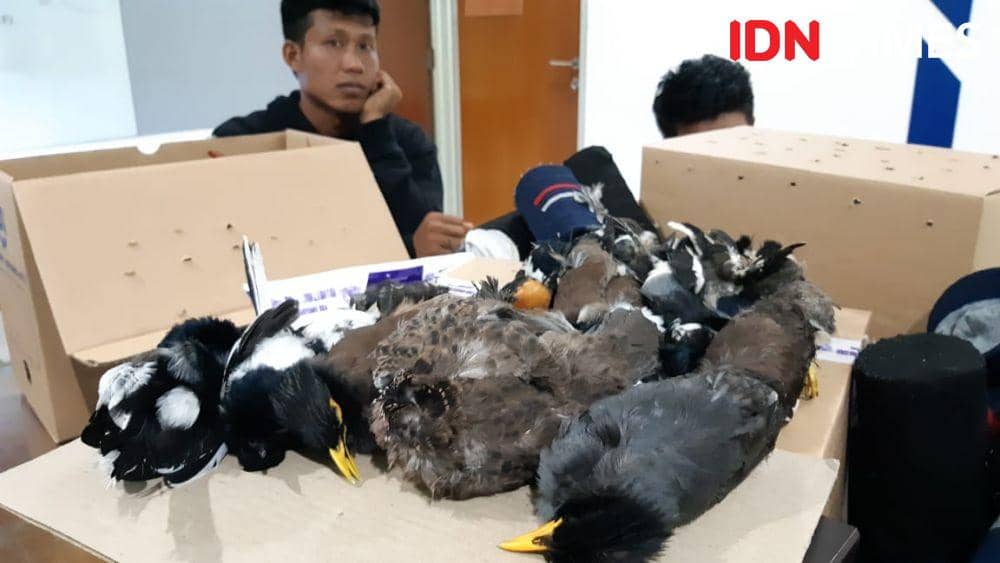 IDN Times/Candra Irawan