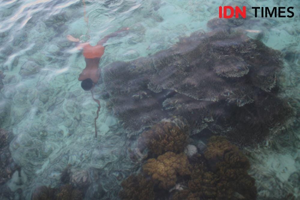 Nelayan menombak ikan di dasar laut. IDN Times/Surya Aditya
