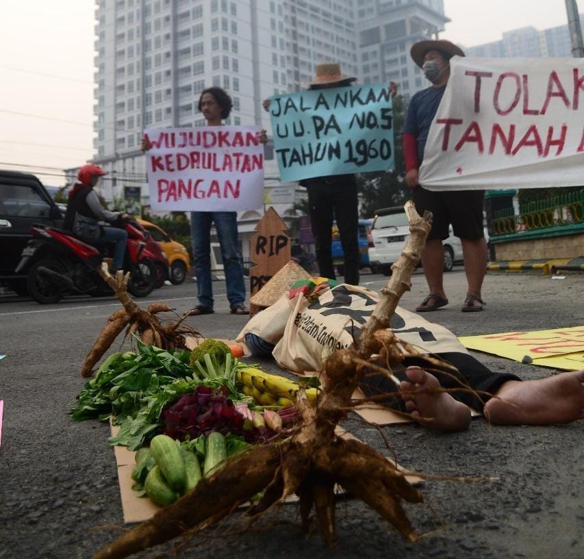 Dok. IDN Times/IStimewa