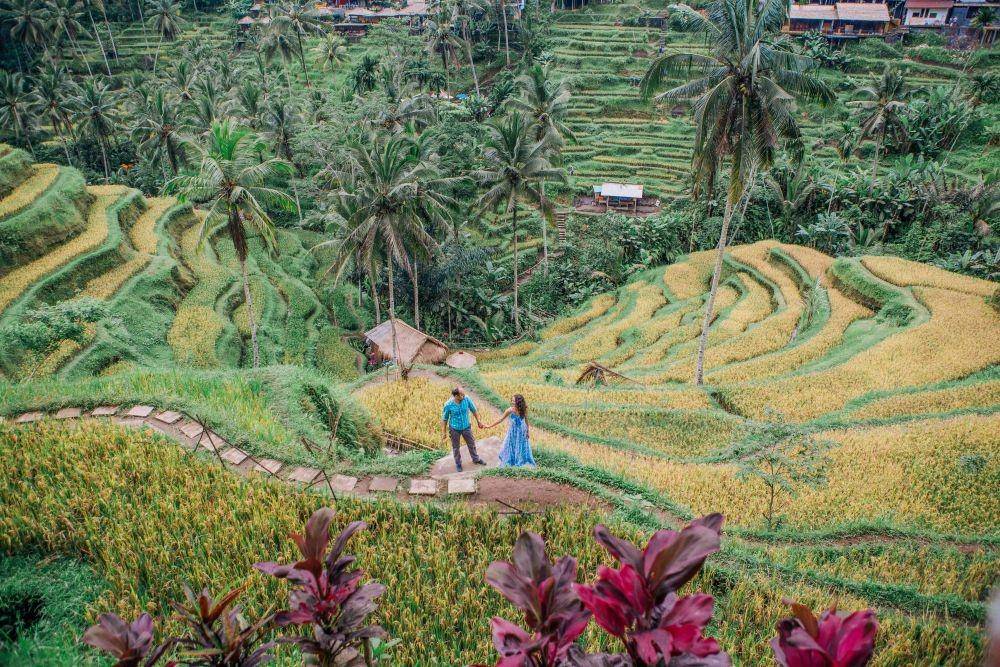 unsplash.com/photos/TheoWidharto