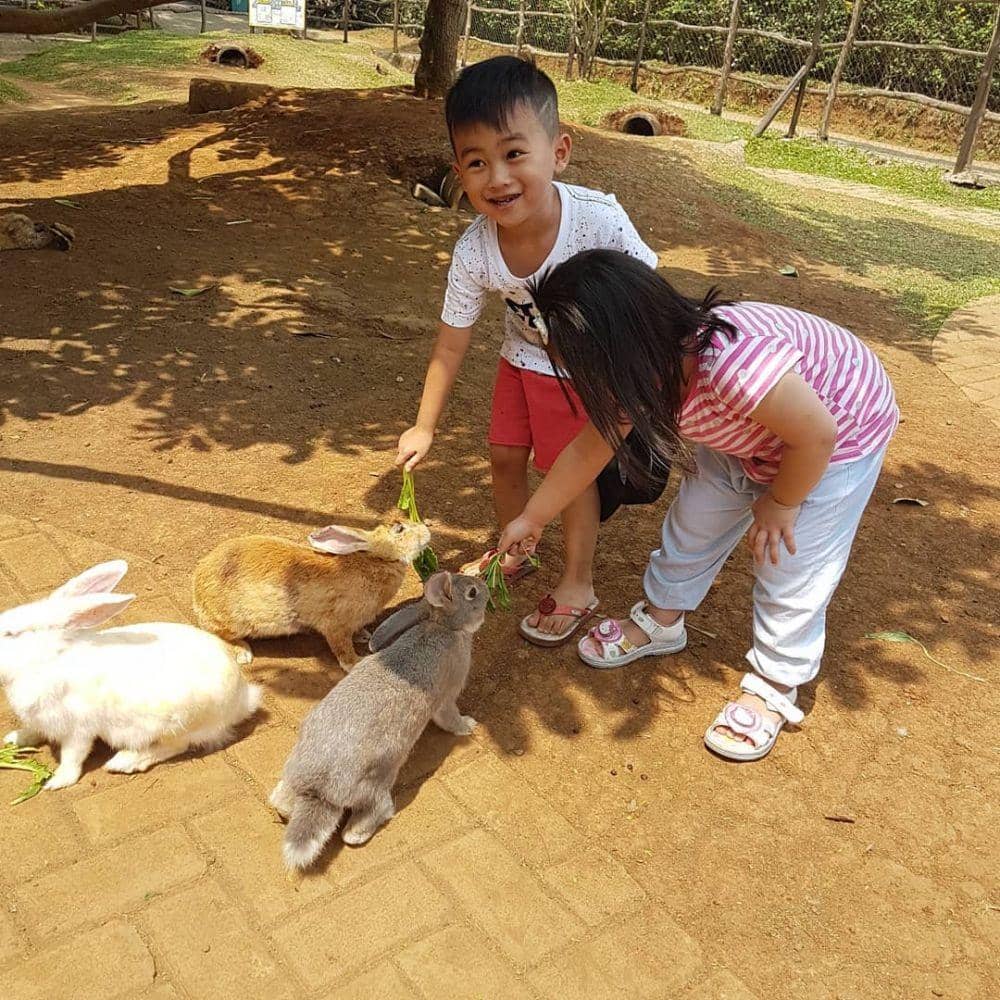 instagram.com/yunicarlen