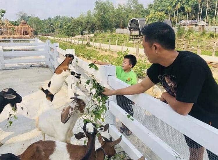 Instagram.com/asiafarm.id