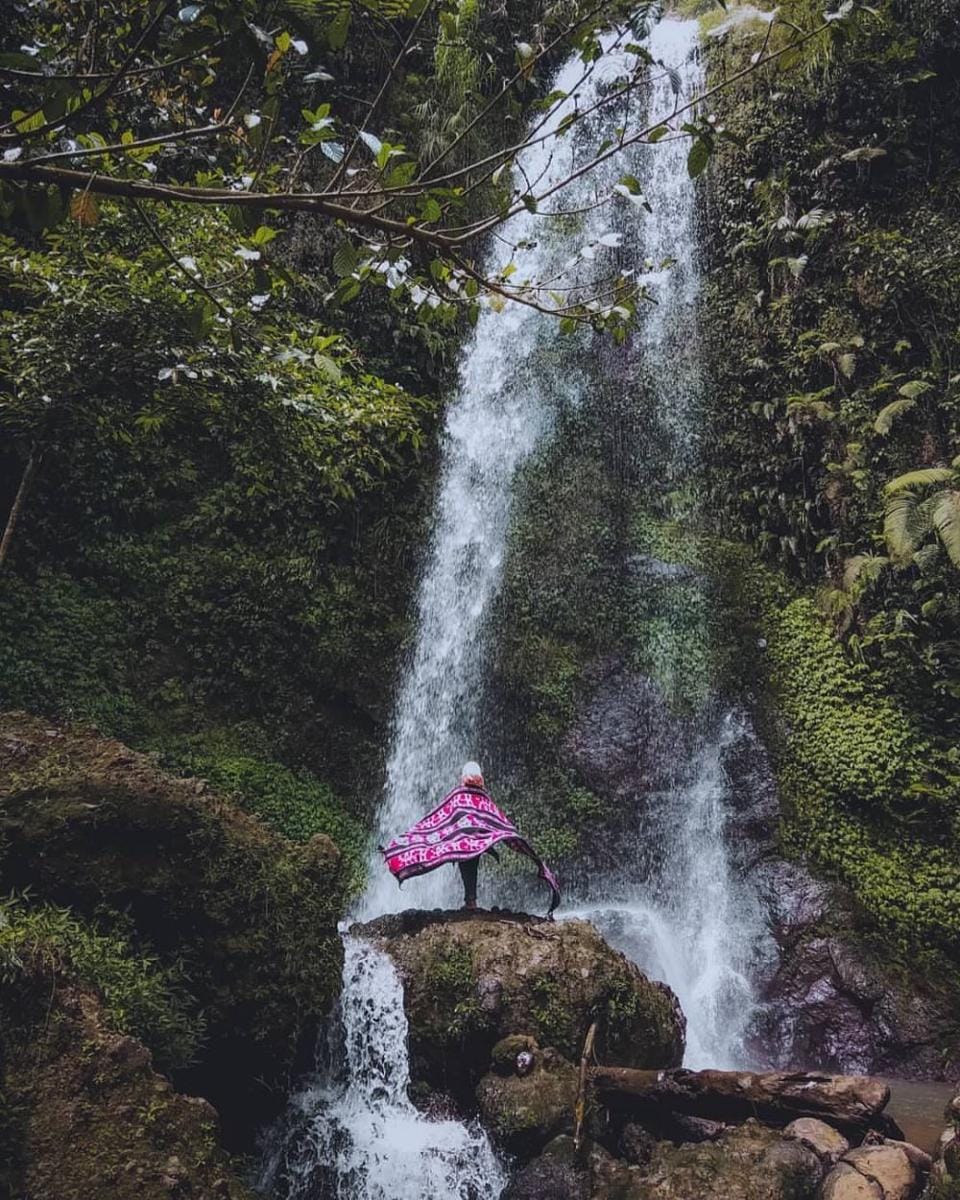 instagram.com/ktarya_