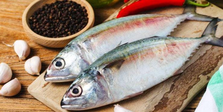 (Ilustrasi ikan) Freepik/dashu83