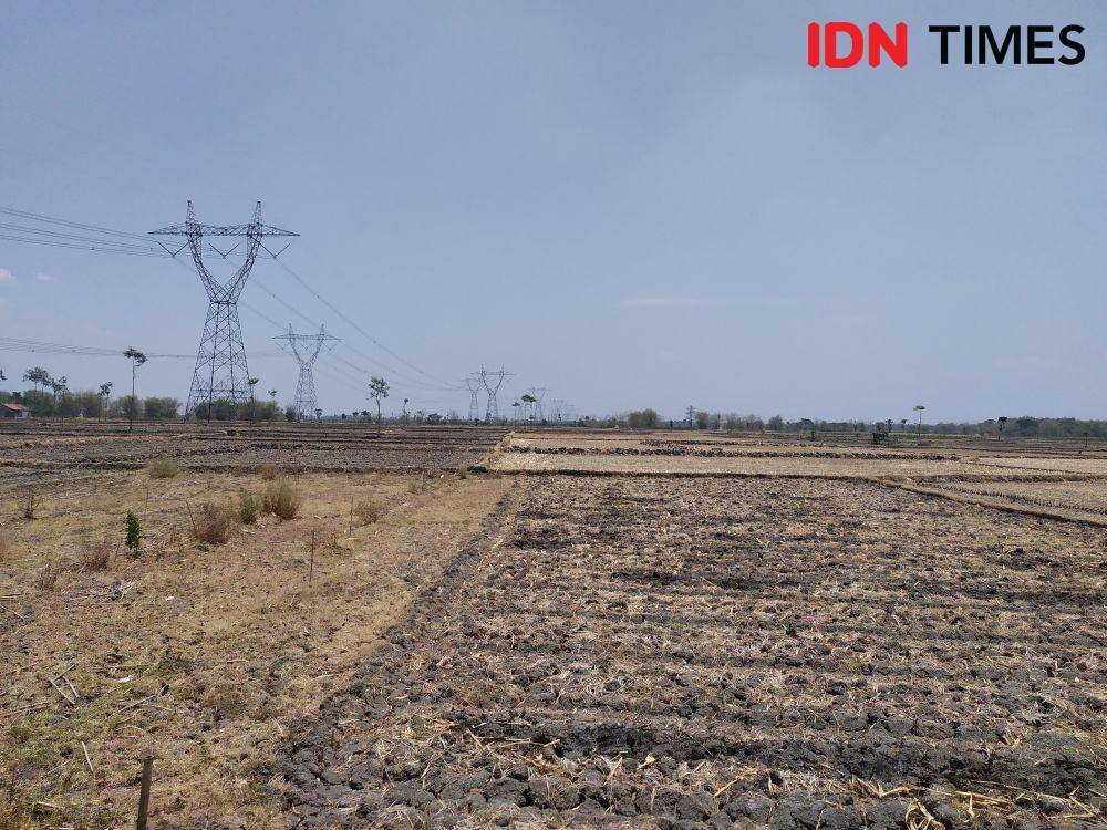 IDN Times/Dhana Kencana