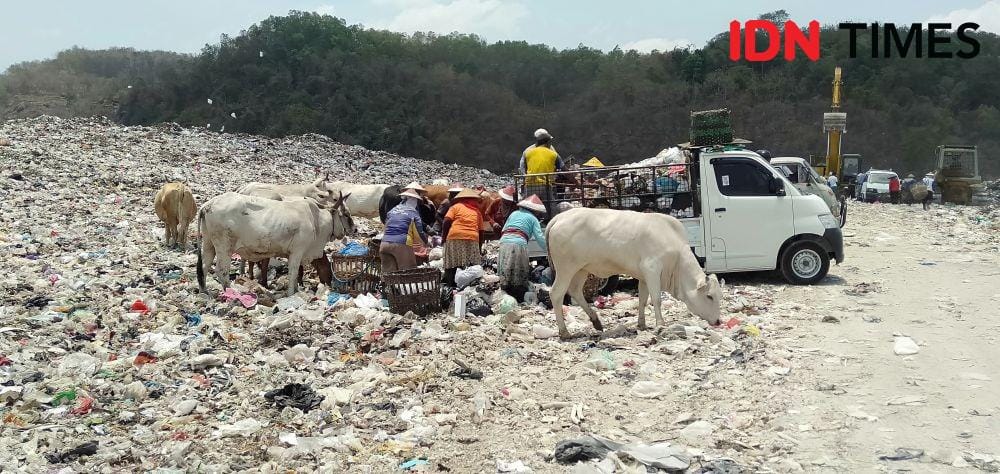 IDN Times/Daruwaskita