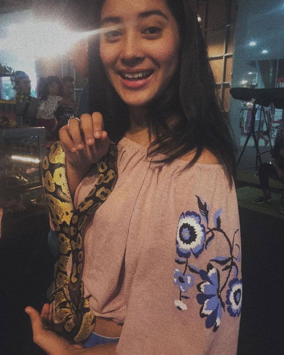 instagram.com/gecchatvr