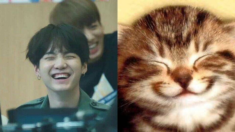 twitter.com/lilmeowmeowsuga