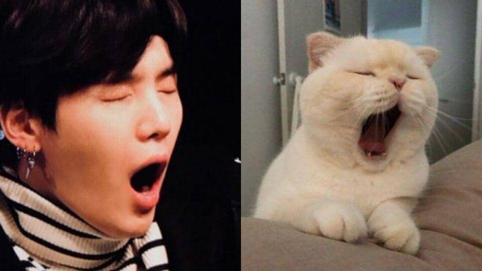 twitter.com/lilmeowmeowsuga