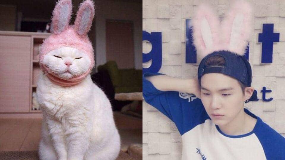 twitter.com/xCalicomochi