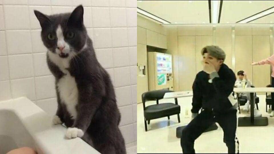 twitter.com/MilkshakeJimin