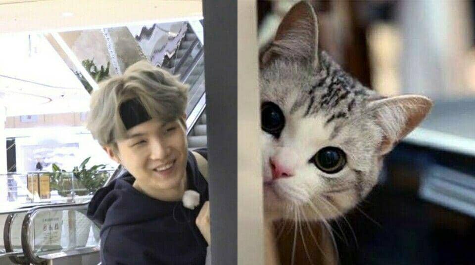 twitter.com/lilmeowmeowsuga