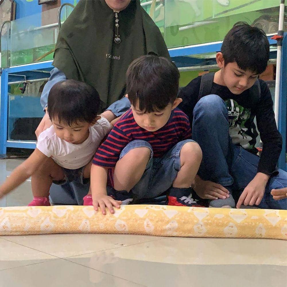 Instagram/ristytagor