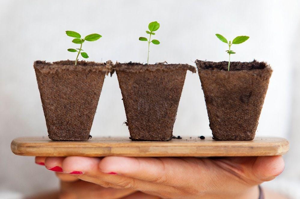 Unsplash/artic_studios