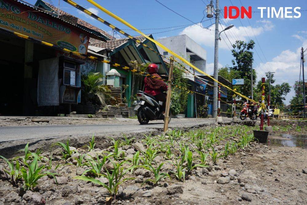 IDN Times/Tunggul Kumoro