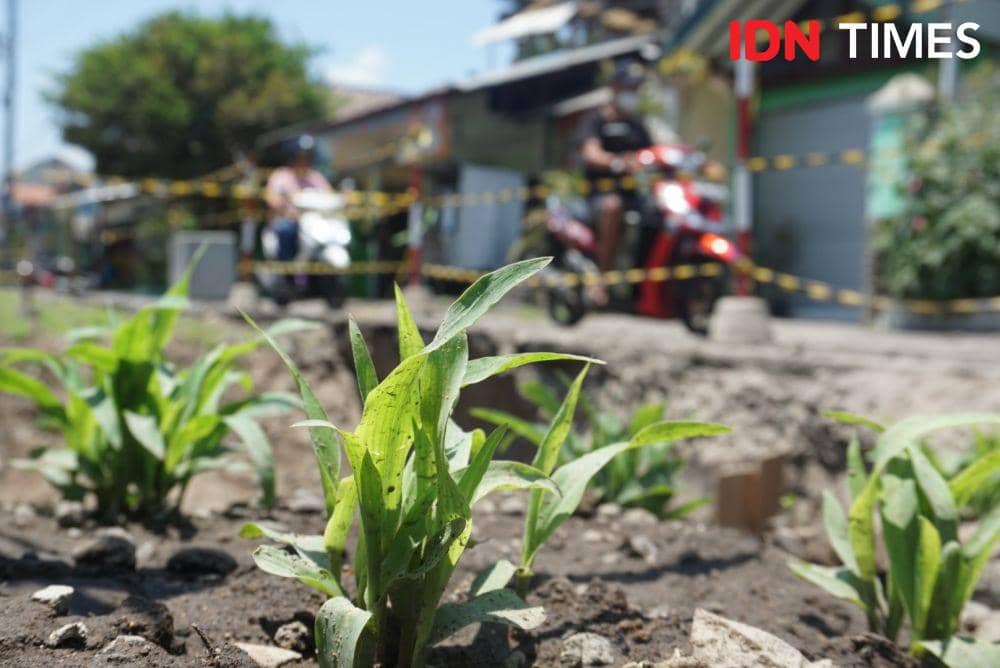 IDN Times/Tunggul Kumoro