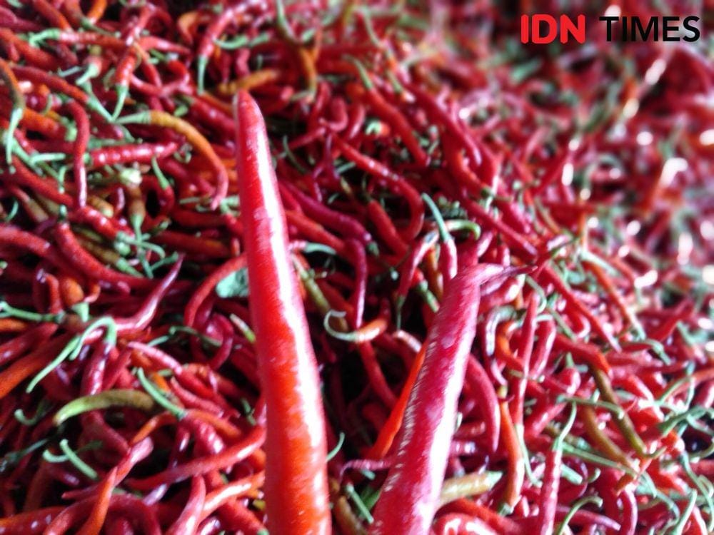 IDN Times/Daruwaskita