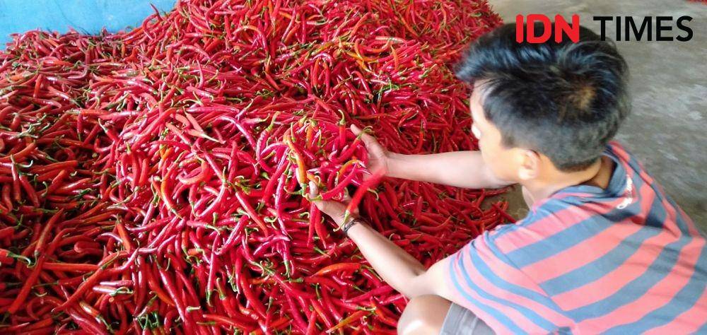 Harga cabai di pasar tradisional Bantul naik tajam. IDN Times/Daruwaskita