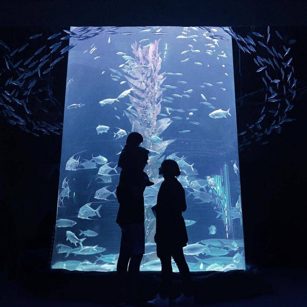 instagram.com/ayudiac