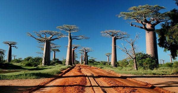 madagascar-hotels-online.com