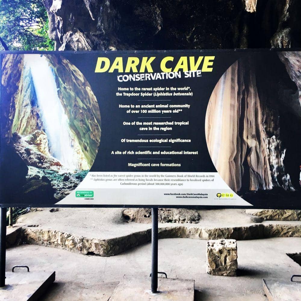 instagram.com/alfredojuli