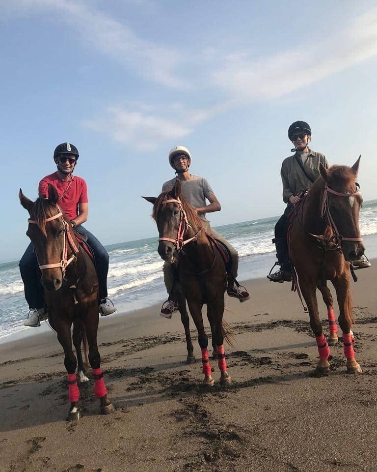 instagram.com/najwashihab