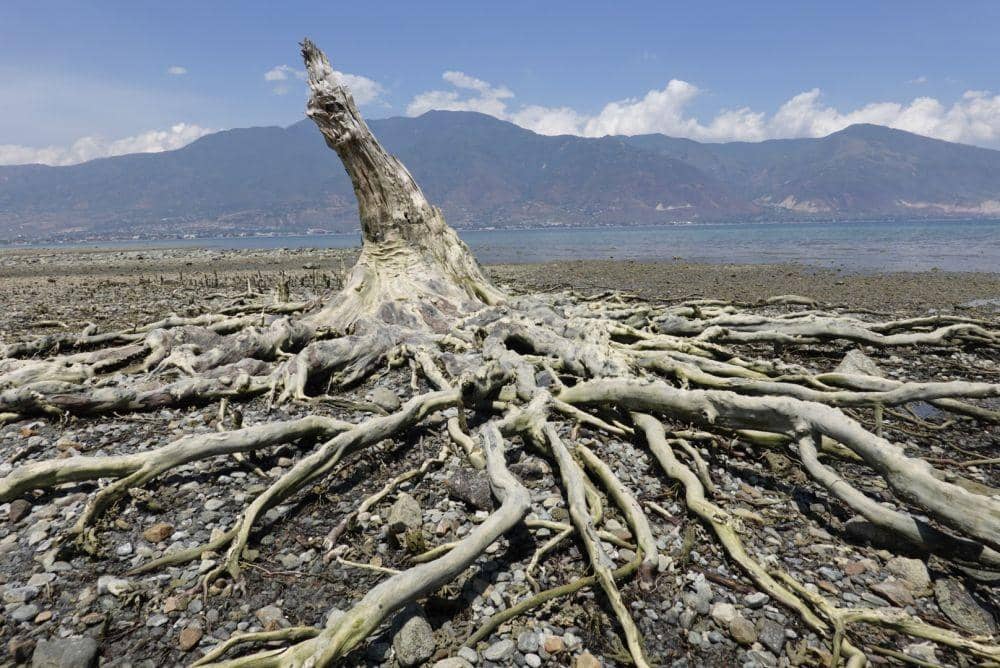 ANTARA FOTO/Oscar Motuloh