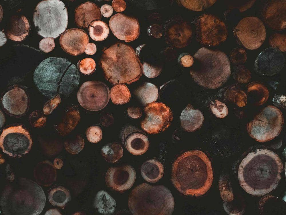 Unsplash.com/David Boca