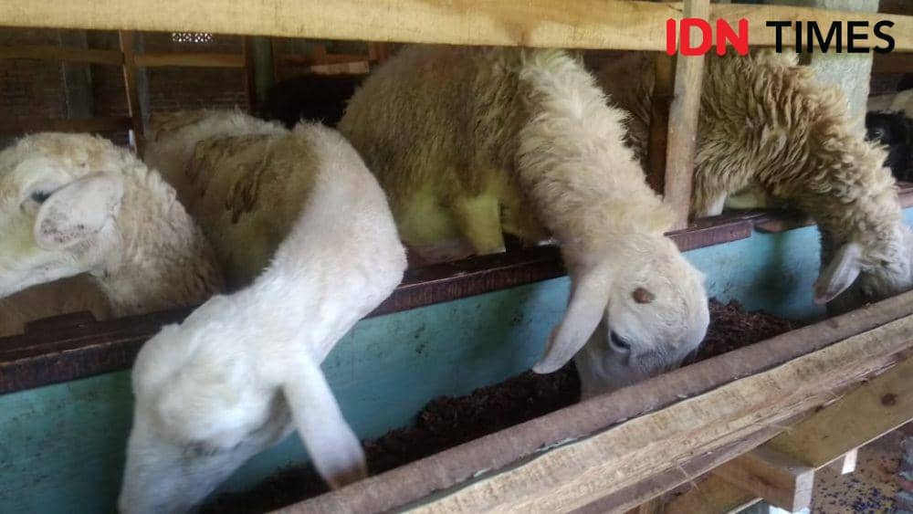 IDN Times/Oetoro Aji