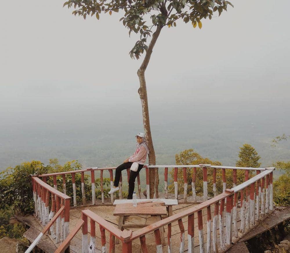 instagram.com/faniappp_