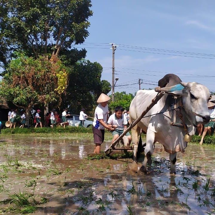 Instagram.com/desawisatabrayut